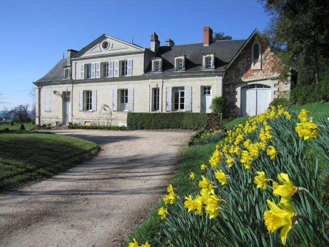 Chambres D'Hotes Le Chateau De La Plante Thure Bagian luar foto